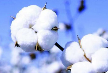 恭喜山東友達紡織制品有限公司新網站上線！